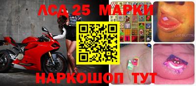 бошки Сланцы