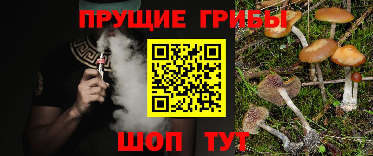 Псилоцибиновые грибы Magic Shrooms  продажа наркотиков  Галлюциногенные грибы Psilocybine cubensis  Нефтекумск  Вход с VPN 